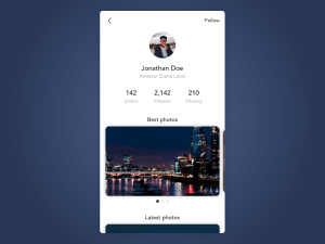 Jak by mohl vypadat profil uživatele v aplikaci pro sdílení fotografií.